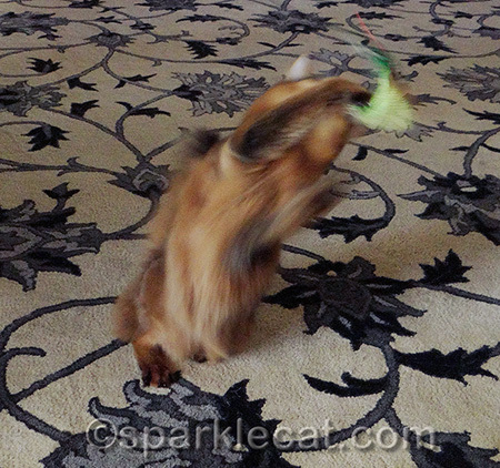 I call this a photo FAIL, but in a fun way!