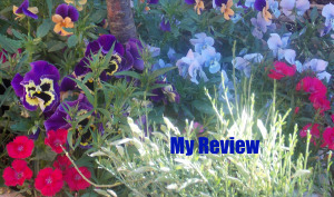 Flowers - My Review