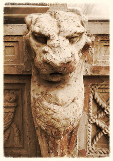 chimera