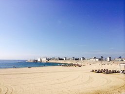 photo 1[1]