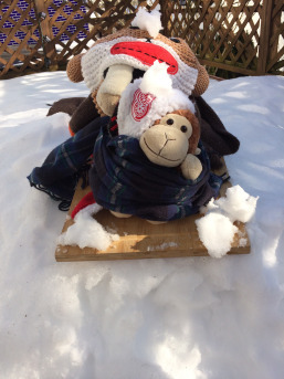 Heather cow and monkey