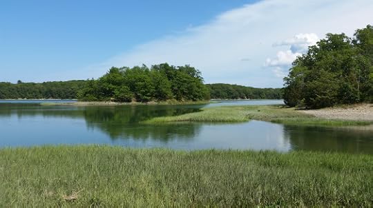 20150619_151650