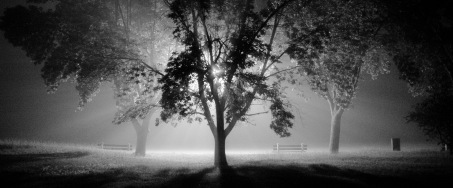 9712483716_4376620b9b_o