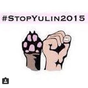 Graphic of paw and hand