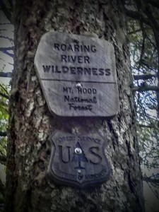 In the scenic Roaring River Wilderness!