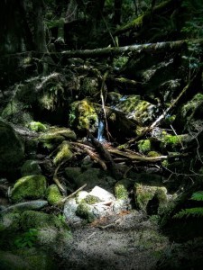 Several pretty streams & water crossings.