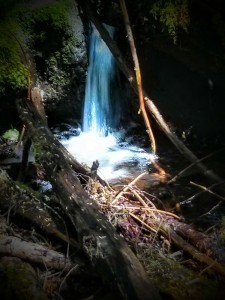 Nice little waterfall on the way up.