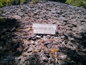 When I got here, I *thought* this was the junction to Grouse Point Trail that I was looking for. But no, it's the junction that tells you you're 3 miles *away* from the junction. Ugh.