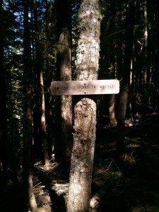 Finally made it to the junction I was heading for.