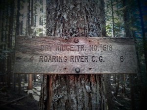 And so, back to the Roaring River Campground