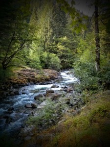 Roaring River. I wished I had a swimsuit & a towel with me. And also my dog.