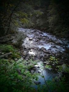 Also the Roaring River.