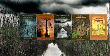 FBfivebooksCOVER