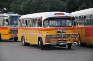 bus