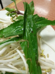 cilantro