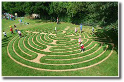 tree turf labyrinth