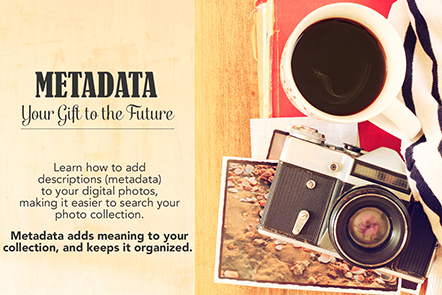 Metadata