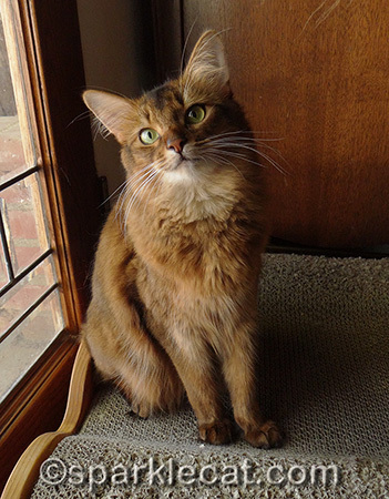 It took a long time to perfect this head tilt... almost 5 minutes!