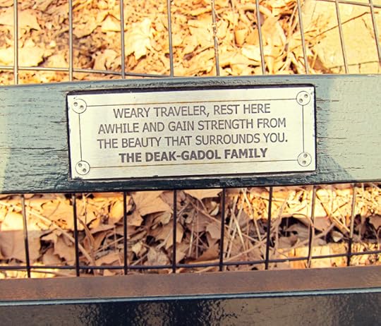central park bench web