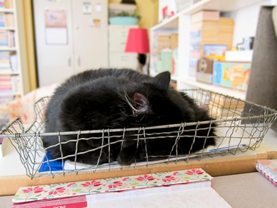 web atticus basket