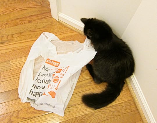 atticus bag