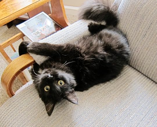 atticus chair