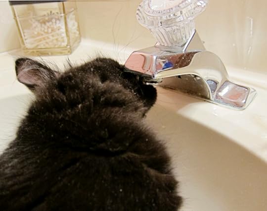 atticus faucet