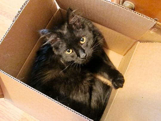 atticus box