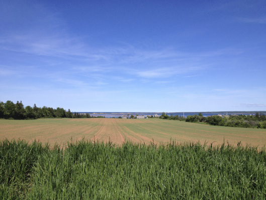 Birthday “Coincidences” in Emma and Anne of Green Gables 