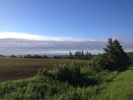 Birthday “Coincidences” in Emma and Anne of Green Gables