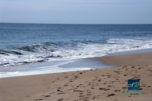 lewesbeachfootprints copy