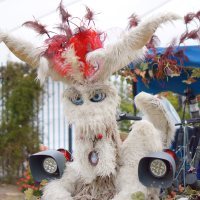 Photo of Baron von Jabba's Miss Tickle Creature Quad.