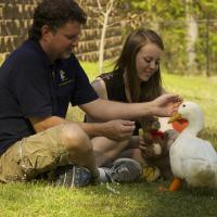 Buttercup with Mike Garey