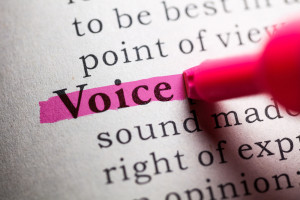 Writing Voice Pink Highlight