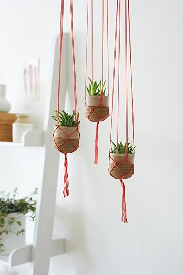 DIY Macramé Hanging Pots Made Peachy 