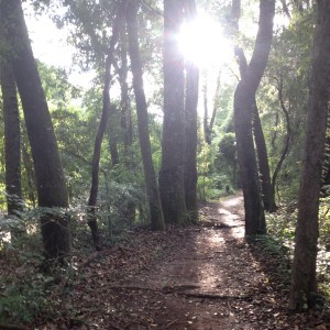 Lessons From The Wrong Trail