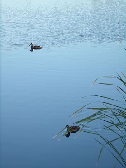  photo GEDC1367r_zpsfzpwvws6.jpg