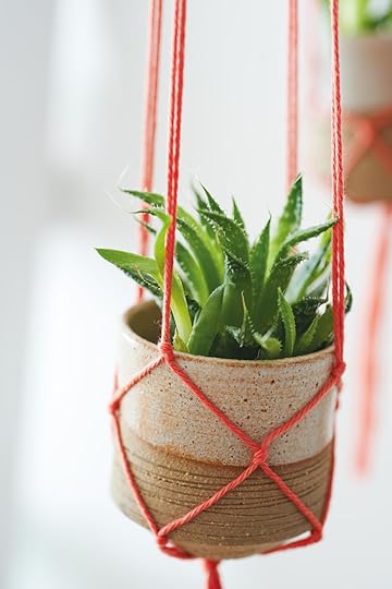 DIY Macramé Hanging Pots Made Peachy 