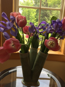 tulip
