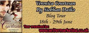 Blog tour button