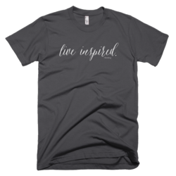 American apparel__asphalt_mockup