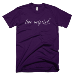 American apparel__eggplant_mockup