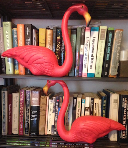 Improbable-flamingos-450pix