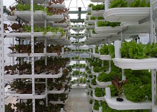 Home-based food growing systems are become ver sophisticated 
