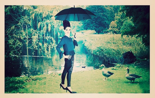 The Ducks of St James's Park