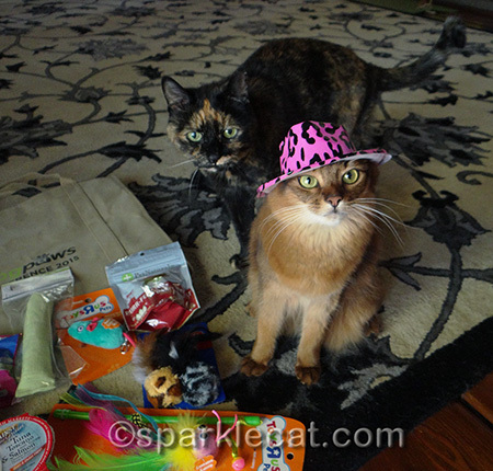 Binga is worried she is going to be next to wear the hat