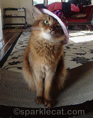 I need to dominate this hat!