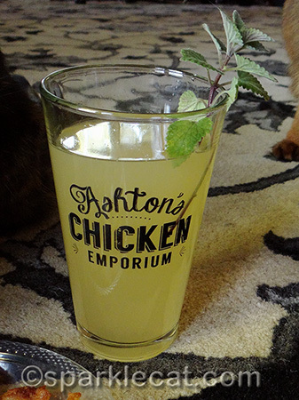 Ashton makes tasty drinks too