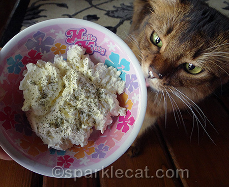 Well, somekitty had to taste test it