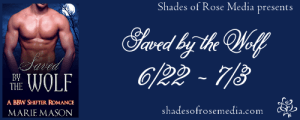 SOR Saved by the Wolf VBT Banner 2